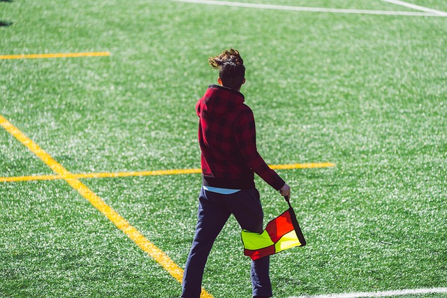 在此役中 在此役中