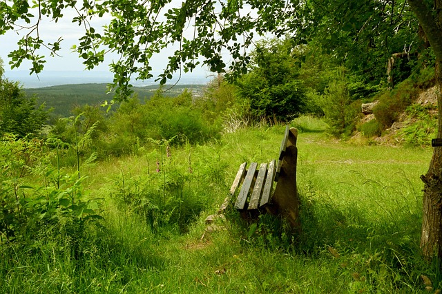 的英超聯賽 的英超聯賽