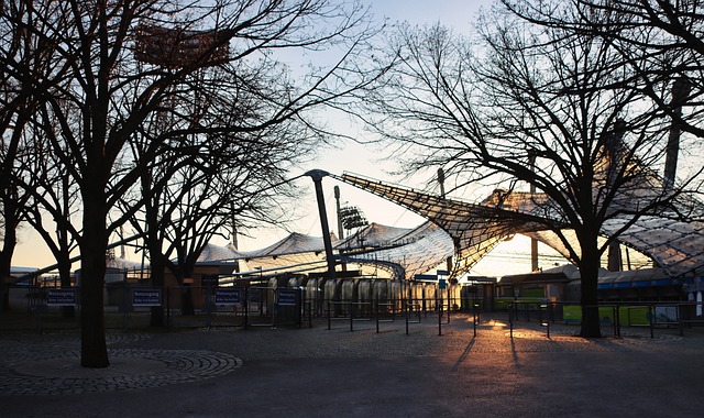 青少年体育 青少年体育