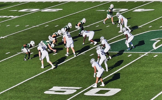 视的一环 视的一环