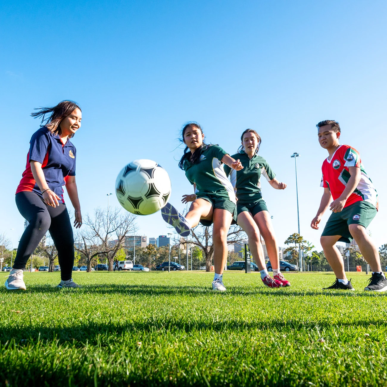 掘本土新生 掘本土新生