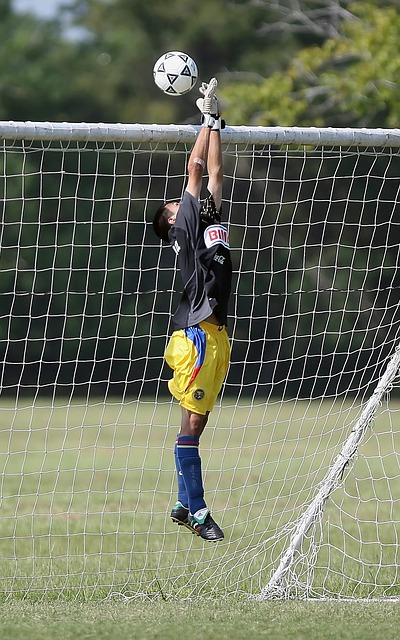 让球迷们对 让球迷们对