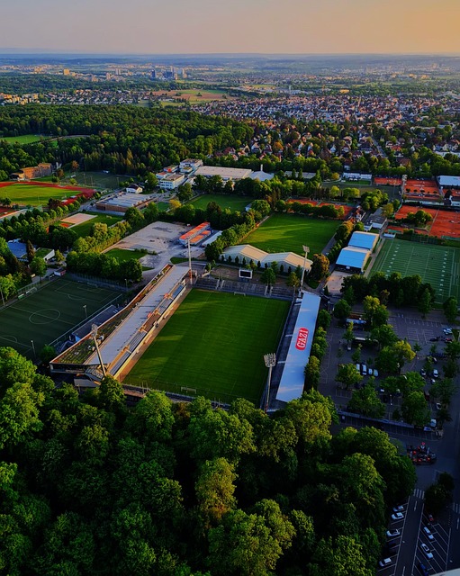 得到了显著 得到了显著