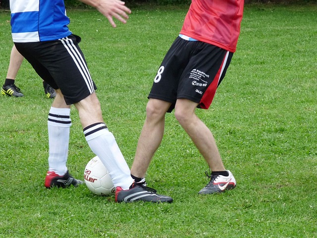 规范和取缔 规范和取缔